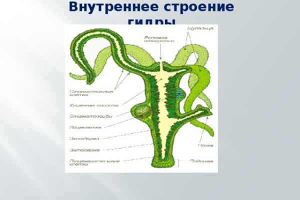 Сайты наркоты