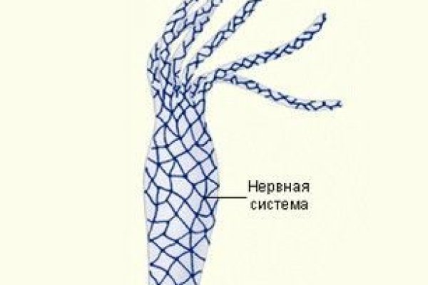 Регистрация в kraken